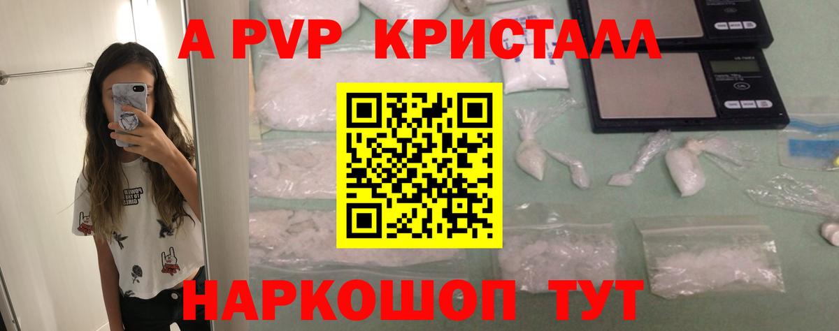 A PVP СК КРИС Краснознаменск