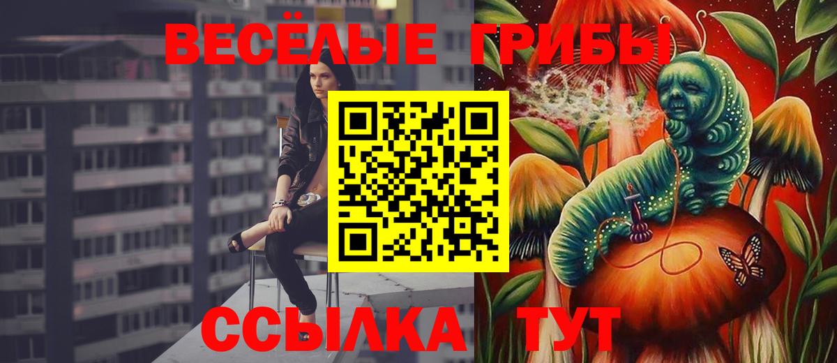 Галлюциногенные грибы мицелий Краснознаменск